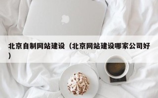 涟源北京自制网站建设（北京网站建设哪家公司好）