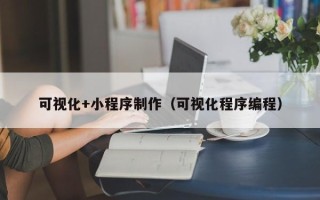 涟源可视化+小程序制作（可视化程序编程）